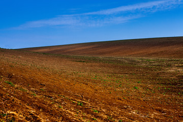 Texture of brown agricultural soil. Beautiful sunrise on the farm. The Farm in the Moldova, Europe. Freshly plowed spring field for planting vegetable seeds.