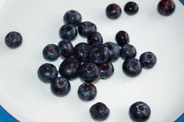 Blueberries dark blue in a small pile on a plate of white and blue. Location in the center.