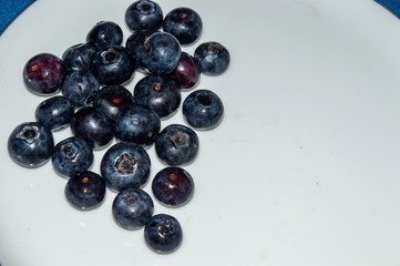 Blueberries dark blue in a small pile on a plate of white and blue. Location on the side.Copy space.