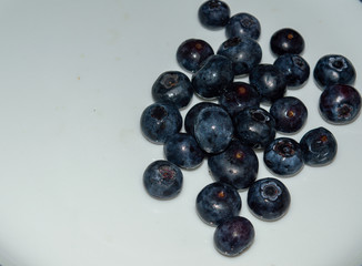 Blueberries dark blue in a small pile on a plate of white and blue. Location on the side.Copy space.