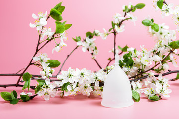 Reusable white eco menstrual cup on a pink background, spring cherry tree branches with white flowers. Ecology and recycling concept, zero waste. Women's hygiene, menstruation, critical days.