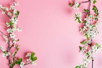 Obraz na płótnie Canvas Frame of spring cherry tree branches with white flowers on a pink background. Copy space for text