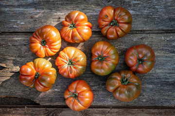 Top front view of a group of red tomatoes produced in an organic urban garden in a rural home field for own consumption