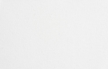 White canvas texture background. Close-up.