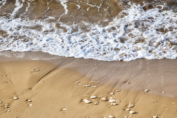Closeup Of Sea Waves Washing Ashore A Sandy Beach. sea background. summer