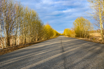 Fototapeta premium spring forest road on sunny morning, with blue sky and white fluffy clouds. Country asphalt road in golden sunshine, between young trees and bushes with first spring leaves.