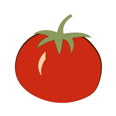 Image of tomato isolated on a white background. Vegetables for the kitchen from the garden. Healthy eating.