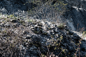 Felsen