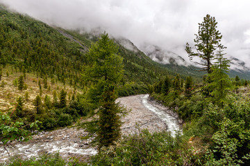 Fototapeta na wymiar The river flows among the mountains overgrown with coniferous forest. Dense fog and clouds over the mountains. Horizontal.