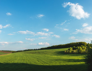 fertile agricultural fields for sowing and growing crops