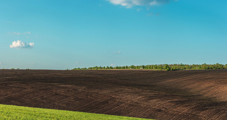 fertile agricultural fields for sowing and growing crops