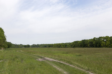Feldweg führt durch eine Wiese mit grünem Gras und blauem Himmel