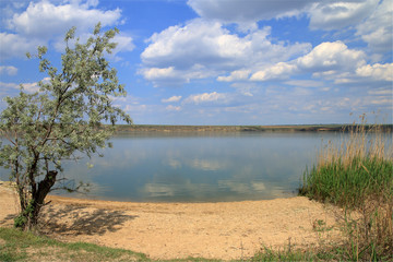 Quiet lake on a sunny day.