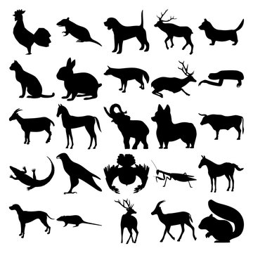 Set of 25 animals. Cock, Rat, Dog, Elk, Corgi, Cat, Rabbit, Aardwolf, Deer, Sloth, Goat, Horse, Elephant, Bull, Crocodile, Eagle, Owl, Praying Mantis, Zebra, Gazelle, Squirrel.
