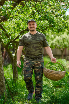 Farmer with a basket of orache (French spinach)