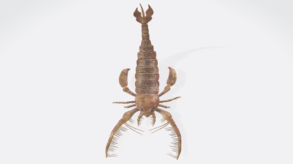 3d Illustration of Jaekelopterus. Paleo dinosaur Jaekelopterus. 