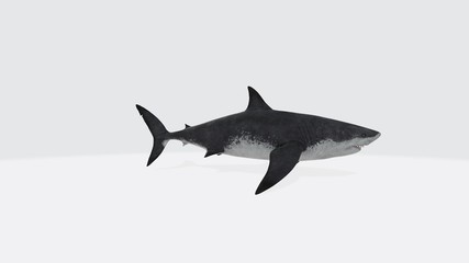 Fototapeta premium 3d illustration of Megalodon. Megalodon scene 3D illustration
