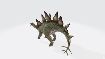 Fototapeta premium 3d illustration of stegosaurus. Dinosaur stegosaurus and monster model Isolated white background ,with clipping path