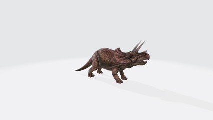 3d illustration of Triceraptor. dinosaur triceraptor isolated