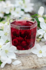 The cherry lemonade. Transparent glass. Lemonade with cherries. Blooming flowers. Spring. Drink with flowers. Red and pink