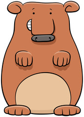bear animal character cartoon illustration