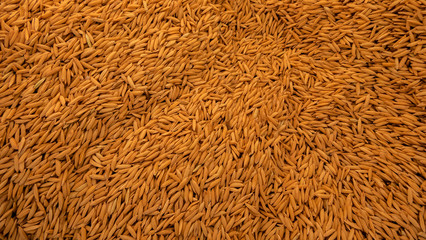 brown leather background