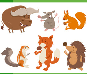 Naklejka premium funny cartoon wild animal characters collection