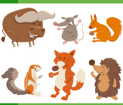 funny cartoon wild animal characters collection