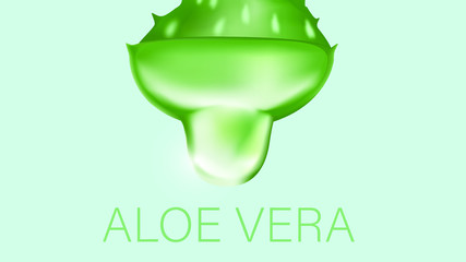 Aloe Vera realistic illustration on light green background.