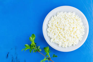 Cottage cheese in a white plate on a blue background. Organic eco healthy meal, dairy product. Plate of cottage cheese and branch with green leaves. Top view. Copy space