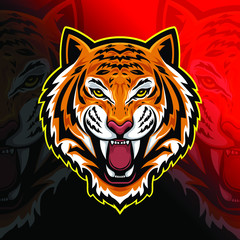 tiger head vector illustration