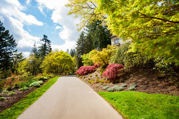 Macleay park path walk view near Pittock Mansion museum, Portland, Oregon