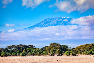 Couvert de nuages sur la montagne du Kilimandjaro du parc national du Kenya Amboseli, Afrique