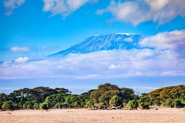 Papier Peint photo autocollant Kilimandjaro Couvert de nuages sur la montagne du Kilimandjaro du parc national du Kenya Amboseli, Afrique