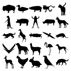 Set of 25 animals. Bison, Duck, Hippopotamus, Frog, Cat, Meerkat, Pig, Rhino, Jackal, Dog, Deer, Buffalo, Albatross, Beaver, Moth, Labrador, Lama, Flamingo, Dalmatian, Doe, Chicken, Rabbit, Crow.