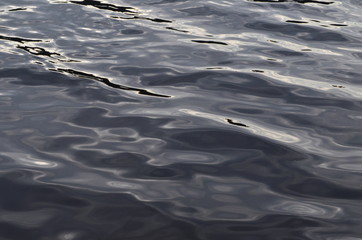 Water waves for nature backgrounds. Waves on the water surface. Relaxation and silence concept