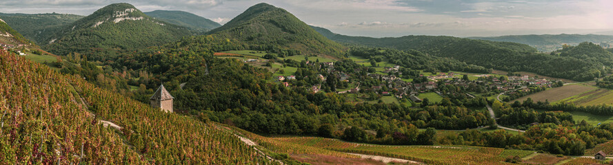 Fototapeta na wymiar Vignes et vignobles du Bugey. Vignoble de Montalieu et vue sur le village de Vérizieu.