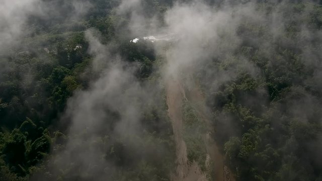 Aerial shot of tropical rain forest with cloud over forest