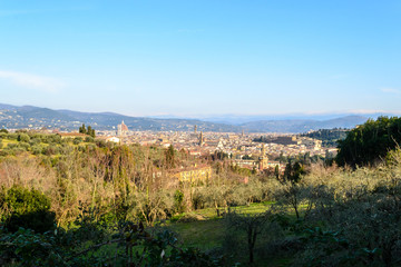 Wide panoramic view of the city of Florence seen from the hills just outside the city in the Bellosguardo neighborhood