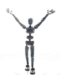 training, exercise, demonstration, puppet, physiology, posture, sports