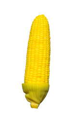 Corn isolated on white background.
