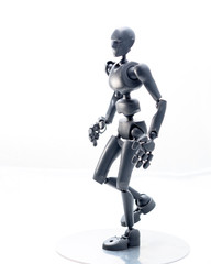 training, exercise, demonstration, puppet, physiology, posture, sports