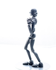 training, exercise, demonstration, puppet, physiology, posture, sports