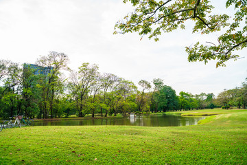 Green nature public city park green meadow grass sky with cloud