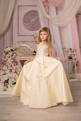 Little girl princess in beautiful holiday dress