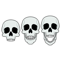 three skulls. without jaw, with closed jaw and open jaw. Set, isolated, animation, comic.