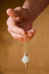The pendulum in the hand of the Reiki master