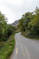 Fototapeta na wymiar Winding Path in Ireland