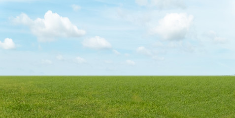 Green grass field and blue sky with white soft clouds. Landscape background.