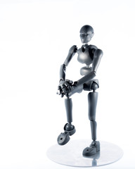 training, exercise, demonstration, puppet, physiology, posture, sports